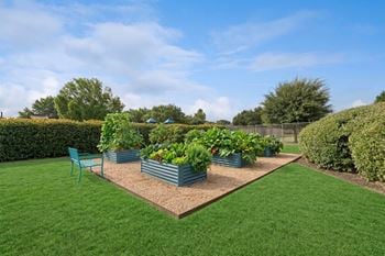 Community garden